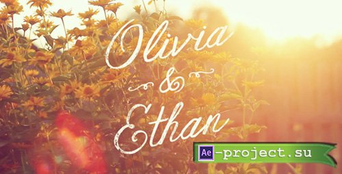 Videohive Formal Video Titles Template - Project for After Effects 