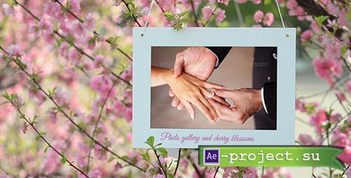 Videohive Photo Gallery and Cherry Blossoms - Project for After Effects