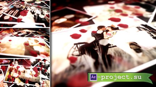 Videohive Floral Wedding Photos - Project for After Effects