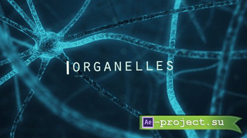 Videohive Organic Cell - Project for After Effects