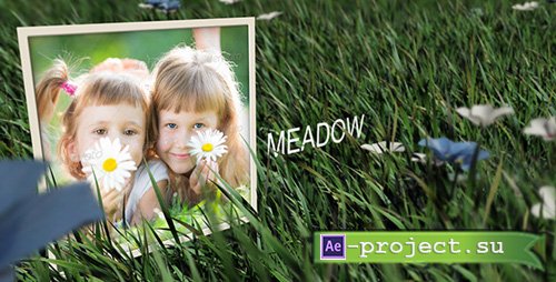 Meadow - Project for AE (Videohive)