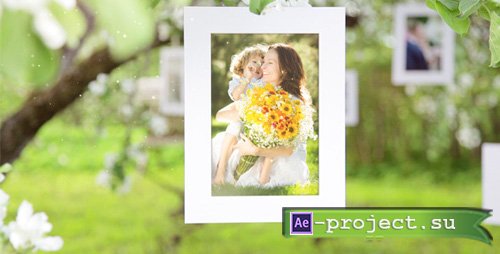 Photo Gallery Blossoms and Bees - Project for After Effects (Videohive)