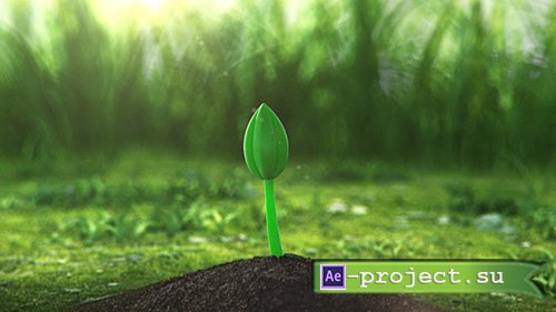 Growing Flower - Project for After Effects (Videohive)