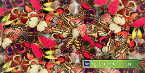 Elegant Butterflies - Project After Effects (Videohive)