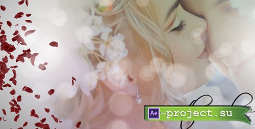 Wedding Album 1837869 - Project for After Effects (Videohive)