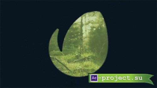 Photographer Logo 8074712 - Project for After Effects (Videohive)