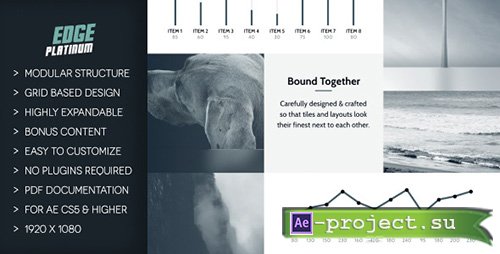 Edge Platinum - Project for After Effects (Videohive)