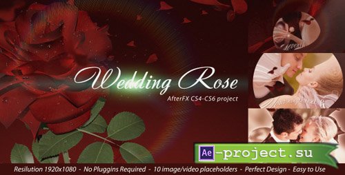Videohive Wedding Rose 4351024 - Project for After Effects