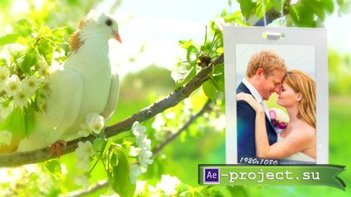 Videohive: Wedding Photo Gallery - Doves Slideshow - Project for After Effects