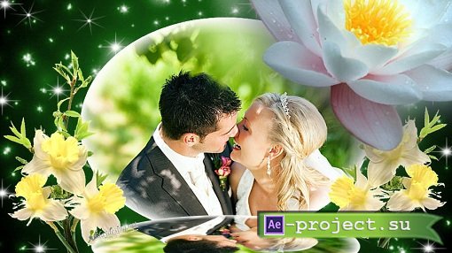 Wedding History - Project ProShow Producer