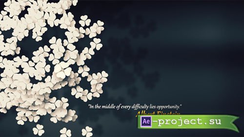 Videohive One Opportunity - Project for After Effects