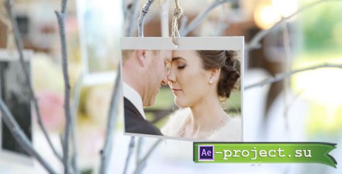 Videohive Photo Gallery at a Country Wedding - Project for After Effects