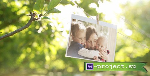 Videohive Photo Gallery in a Sunny Orchard - Project for After Effects
