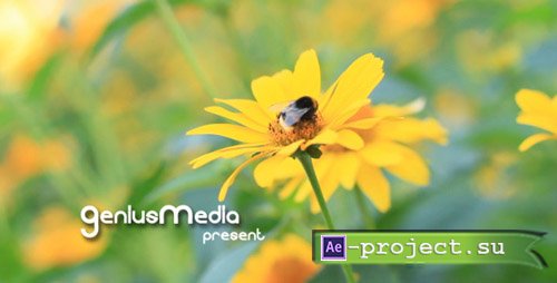 Videohive: Photo Gallery on a Flower Holiday - Project for After Effects