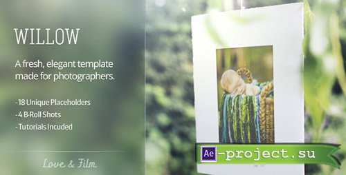 Videohive Willow - Project for After Effects