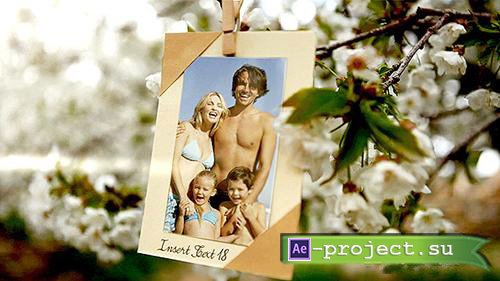 Videohive Photos Hanging in an Orchard - Project for After Effects
