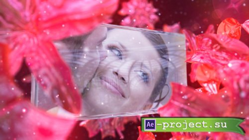 VideoHive: Wedding Fairy - Projects for After Effects