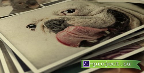 Videohive Photo Gallery Smile To Life - Project for After Effects
