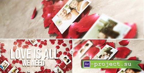 Videohive Rose Petals Heart - Photo Gallery - Project for After Effects