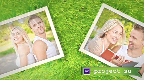 Videohive Photos On Grass - Project for After Effects 