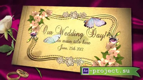 RevoStock: Our Wedding Day Album - Project for After Effects