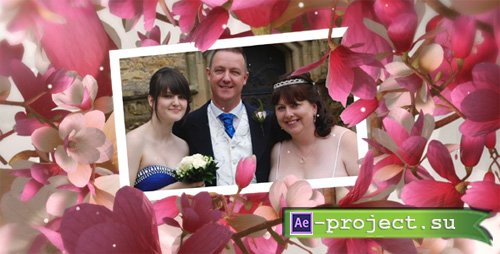 Videohive: Beautiful Wedding Moments - Project for After Effects
