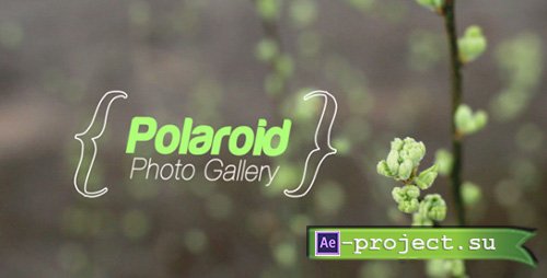 Videohive: Spring Photo Gallery - Project for After Effects