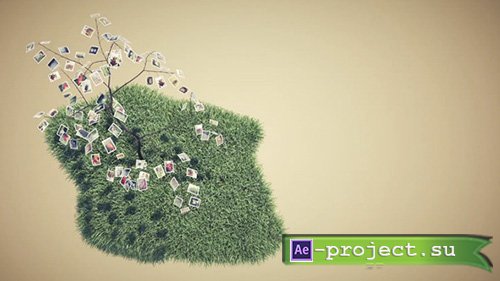 Videohive: Picture Tree Photo Gallery - Project for After Effects