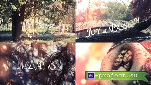 Videohive: Hollow Love - Project for After Effects