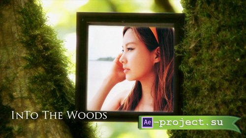 Videohive: Into The Woods V1.0 - Project for After Effects