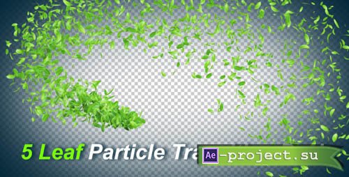 VideoHive: 5 Leaf Particle Transition Pack (Motion Graphics)