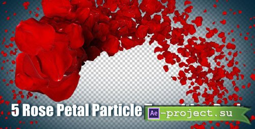 VideoHive: 5 Rose Petal Particle Transition Pack (Motion Graphics)