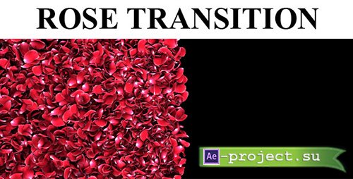 VideoHive: Rose Petal Transition (Motion Graphics)