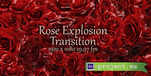 Videohive: Rose Explosion Transition - (Motion Graphics)