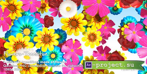 Videohive: Flowers Transition Pack- (Motion Graphics)