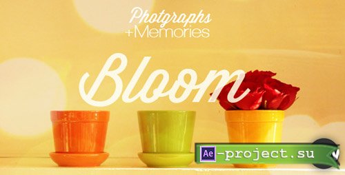 Videohive: Photographs and Memories Bloom - Project for After Effects