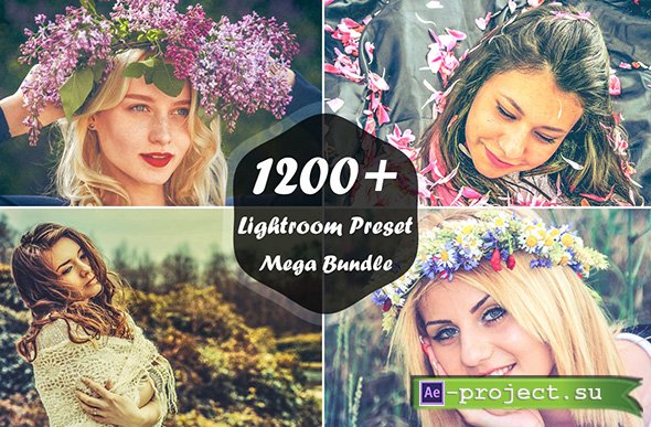 Creatibemarket - 1200+ Lightroom Presets Mega Bundle