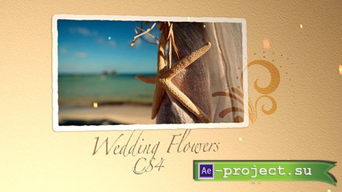 Videohive: Wedding Flowers CS4 - Projects for After Effects 