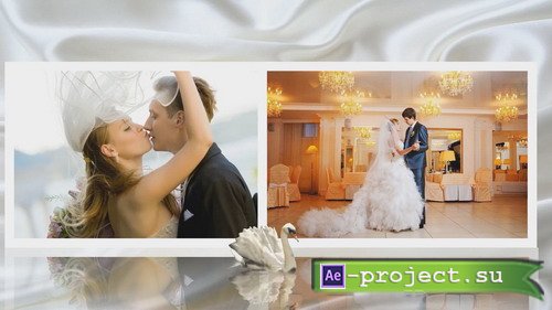 Project to Wedding - Project for Proshow Producer