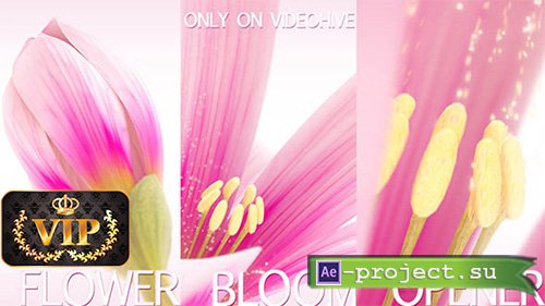 Videohive: Flower Bloom Logo - Project for After Effects