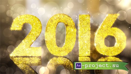 2016 New Year Gala footage