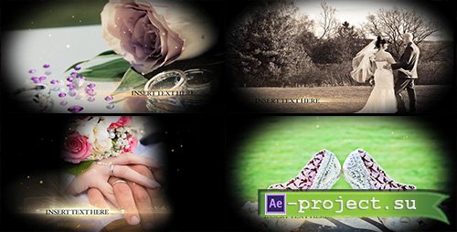 Motionmile: GOLDEN WEDDING PACK - Project for After Effects 