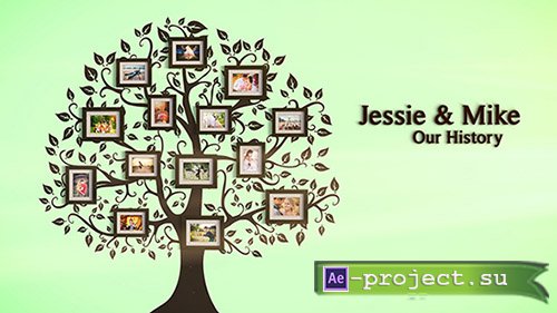 Videohive: Photo Gallery Love Story - Project for After Effects 