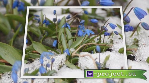 Spring is coming - Project for Proshow Producer
