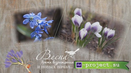 Springtime - Project for Proshow Producer
