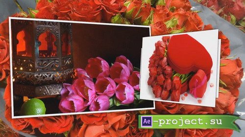 All the flowers at your feet - Project for Proshow Producer