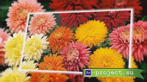 Flower fantasy - Project for Proshow Producer