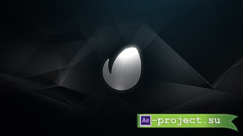 Videohive: Platinum | Logo Reveal - Project for After Effects 