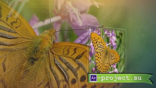 Butterflies of our meadows - Project for Proshow Producer