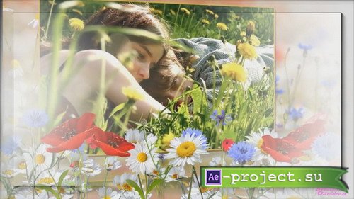 Wildflowers - Project for Proshow Producer